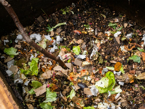 Déchets alimentaires : l’Île-de-France au seuil de la généralisation