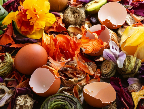 Les déchets ménagers & assimilés en Île-de-France