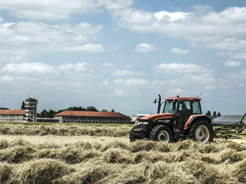 Circuits courts alimentaires : Des projets par et pour les territoires