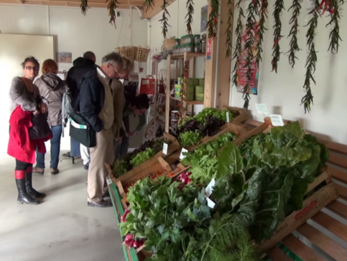 Découverte des circuits courts alimentaires de proximité en Île-de-France